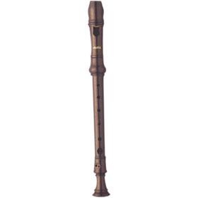 AULOS 303 soprnov