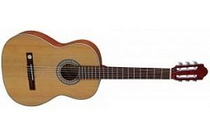 kytara GEWA PRO ARTE GC - 130
